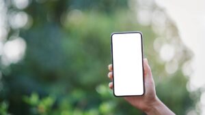 Perdita del numero telefonico: recupero e indennizzo